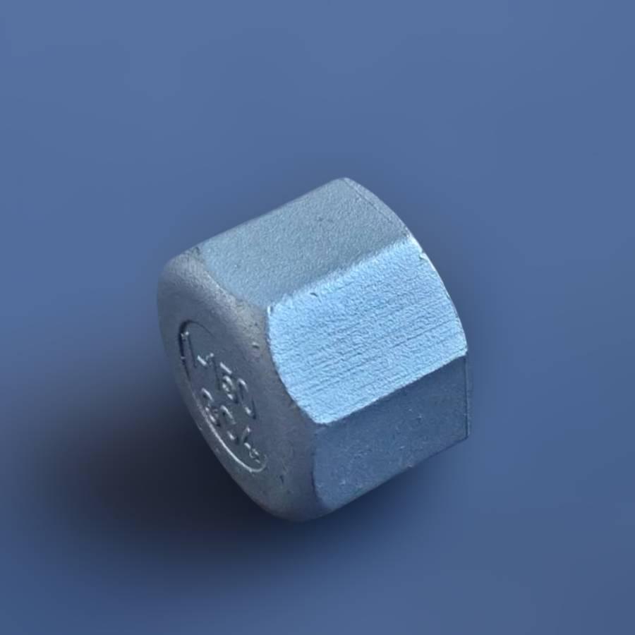 Заглушка різьбова восьмигранна DN25 BSPP н/ж сталь AISI304 Class-150 внутрішня різьба 1" (29203227) - фото 5 Заглушка різьбова восьмигранна DN25 BSPP н/ж сталь AISI304 Class-150 внутрішня різьба 1" (29203227) - фото 5