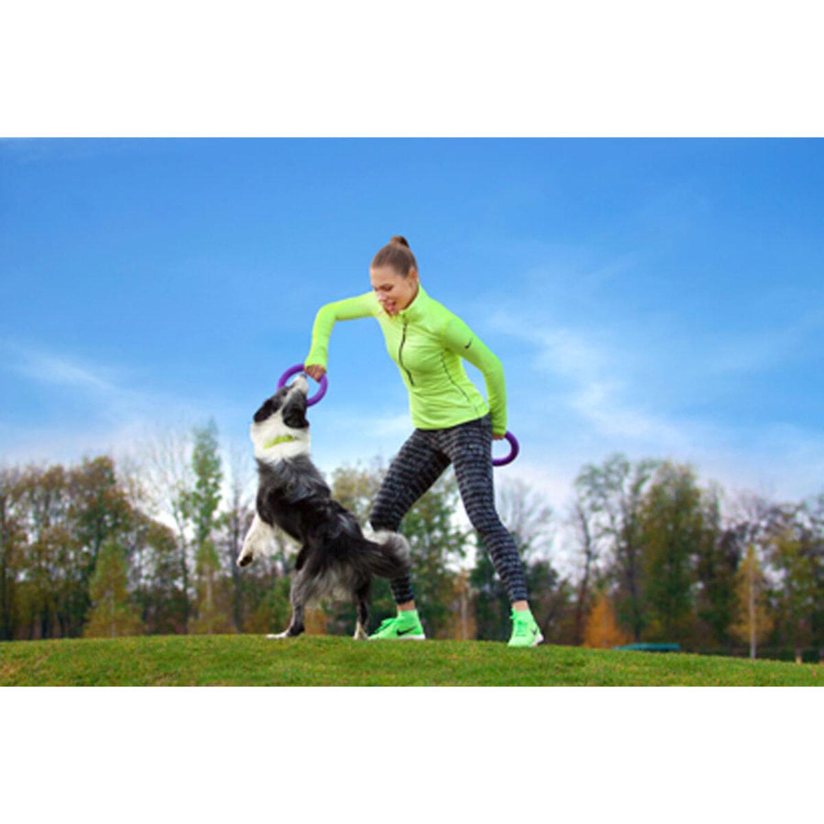 Тренувальний снаряд для собак PULLER Midi D 19,5 см (25881225) - фото 9 Тренувальний снаряд для собак PULLER Midi D 19,5 см (25881225) - фото 9