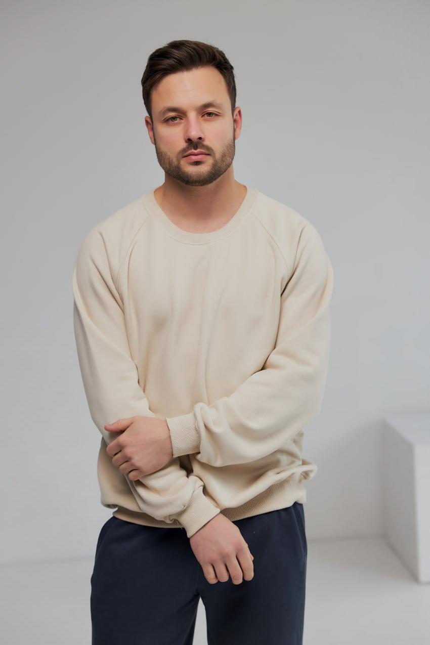 Свитшот мужской М0138.4 L Бежево-серый (521-1-62)