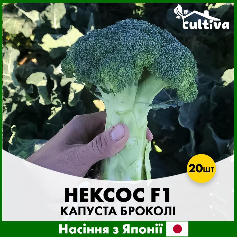 Насіння капусти броколі Sakata Нексос F1 20 шт. (R51061)