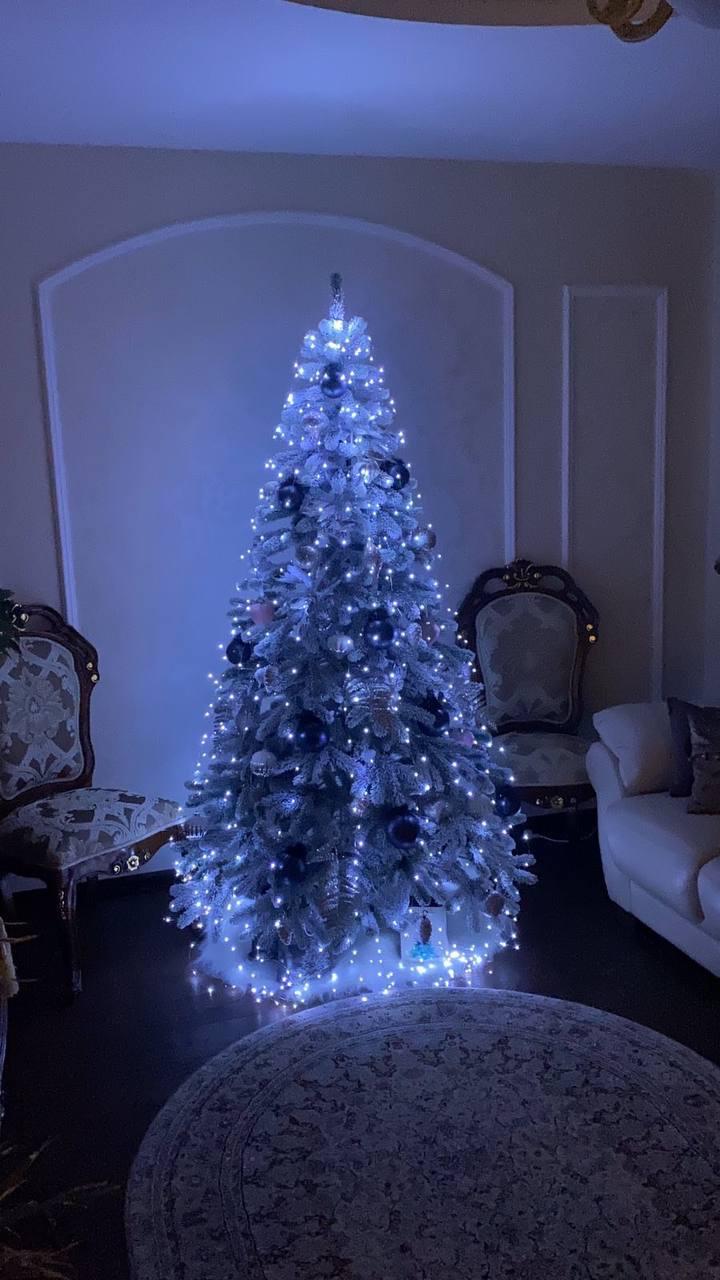 Гирлянда светодиодная Пучок-Росса Конский хвост 200LED 10 линий 2 м Белый (1137) - фото 7 Гирлянда светодиодная Пучок-Росса Конский хвост 200LED 10 линий 2 м Белый (1137) - фото 7