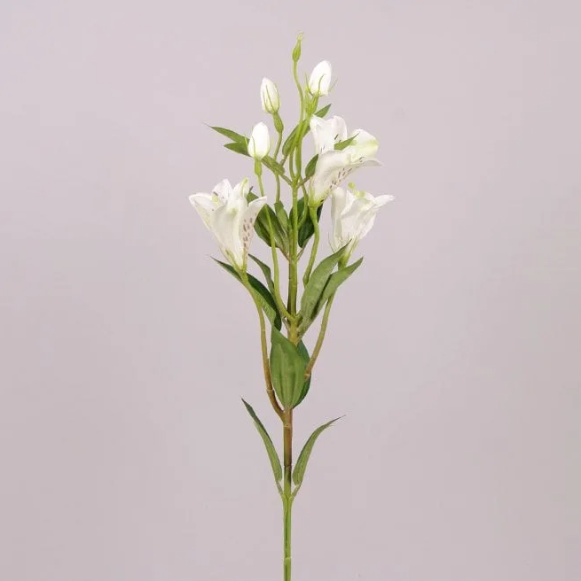 Цветок Альстромерия Flora Белый (71314)