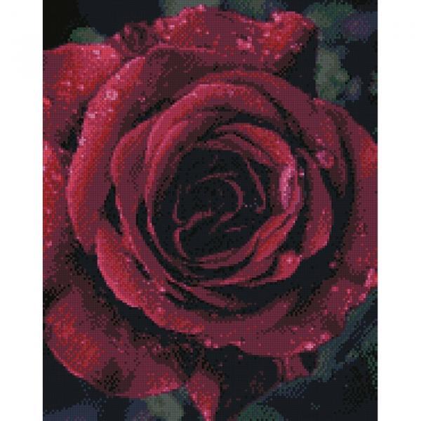 Алмазная мозаика Идейка Роза с каплями росы 40х50 см (AMO7011-mt)