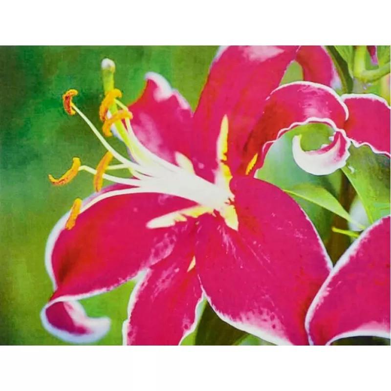 Алмазна вишивка Орхідея повна викладка мозаїка 5D набори 30х40 см (1670435144)