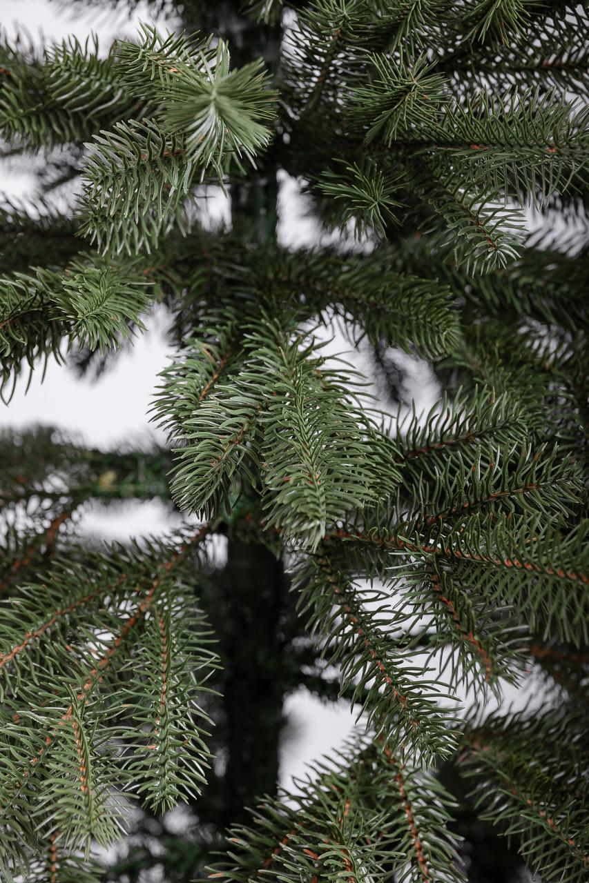 Елка искусственная литая Карпатская 1,8 м Зеленый (2417049313) - фото 7 Елка искусственная литая Карпатская 1,8 м Зеленый (2417049313) - фото 7