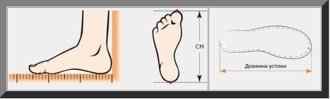 Резиновые сапоги TITAN антипрокольный класс S5 с металлическим подноском р. 47 Хаки (L- 777-47-TITAN) - фото 8