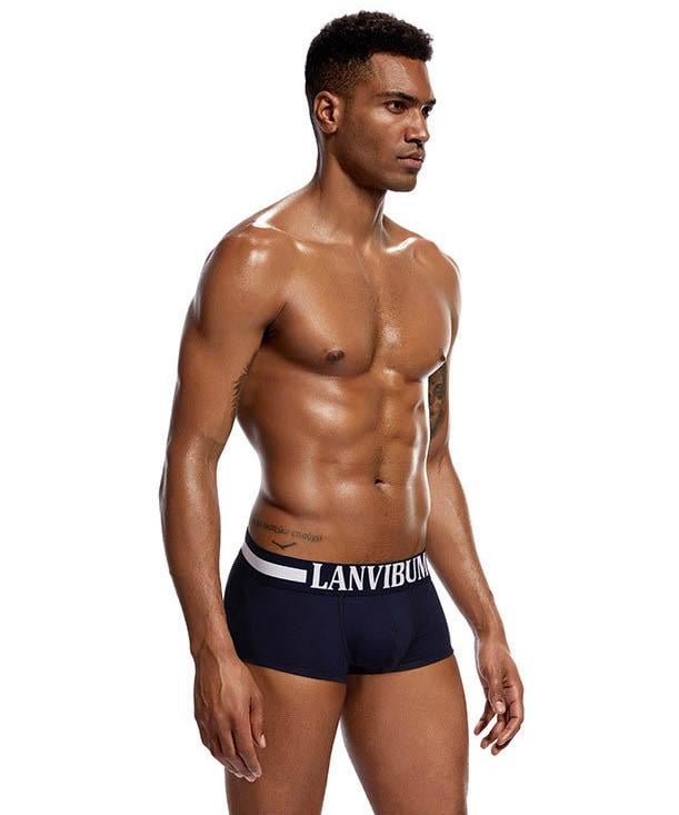 Трусы Lanvibum XXL Темно-синий (4512)