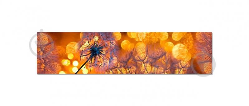 Наклейка виниловая кухонный фартук Zatarga Одуваньчики на закате 600х2500 мм (Z181302) Наклейка виниловая кухонный фартук Zatarga Одуваньчики на закате 600х2500 мм (Z181302)