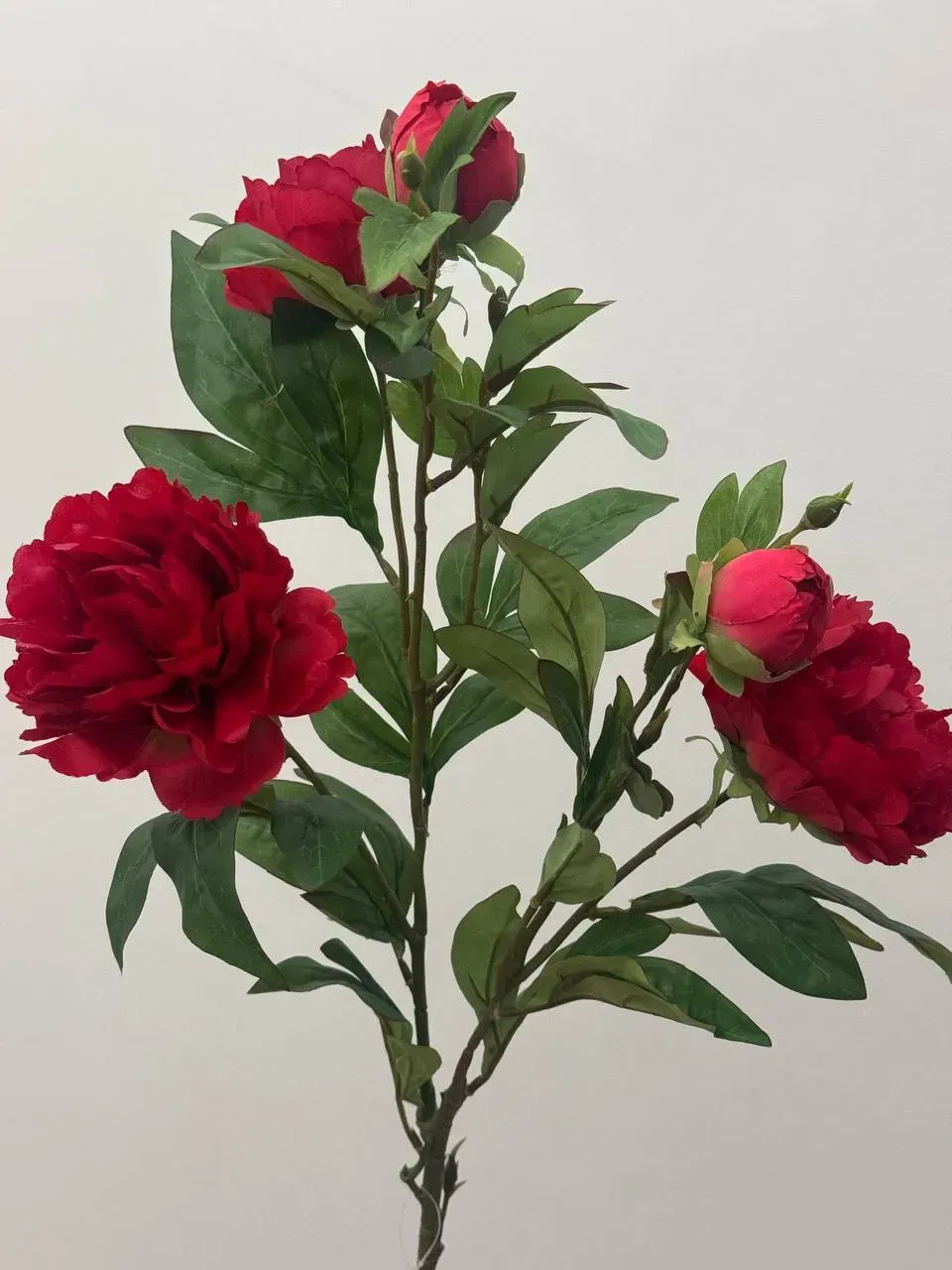 Штучна текстильна півонія 3 квітки 2 бутони на гілці 90 см Червоний (P0026)