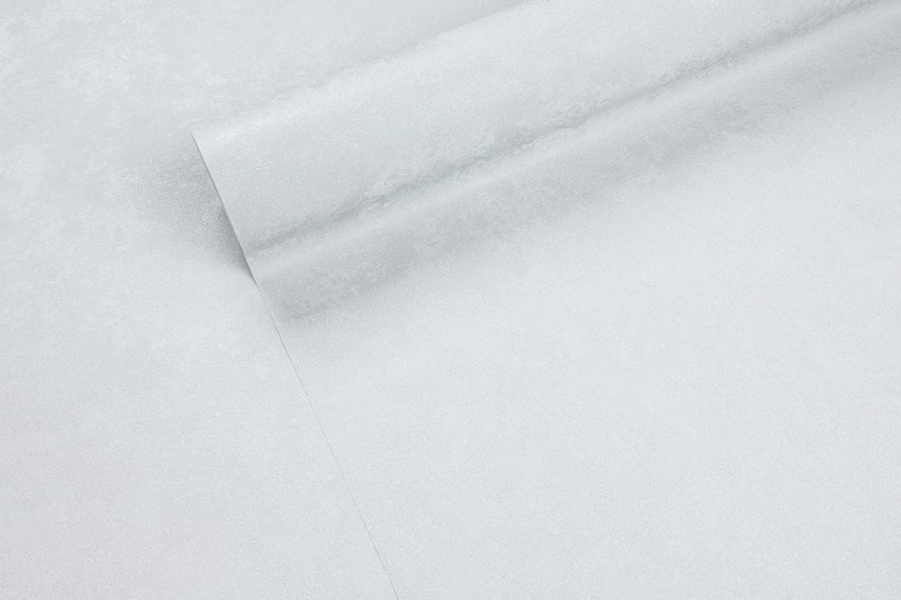 Обои флизелиновые LS Vinil Cascad ЭШТ 3-1663 Фон винил горячего тиснения 1,06х10,05 м Светло-серый