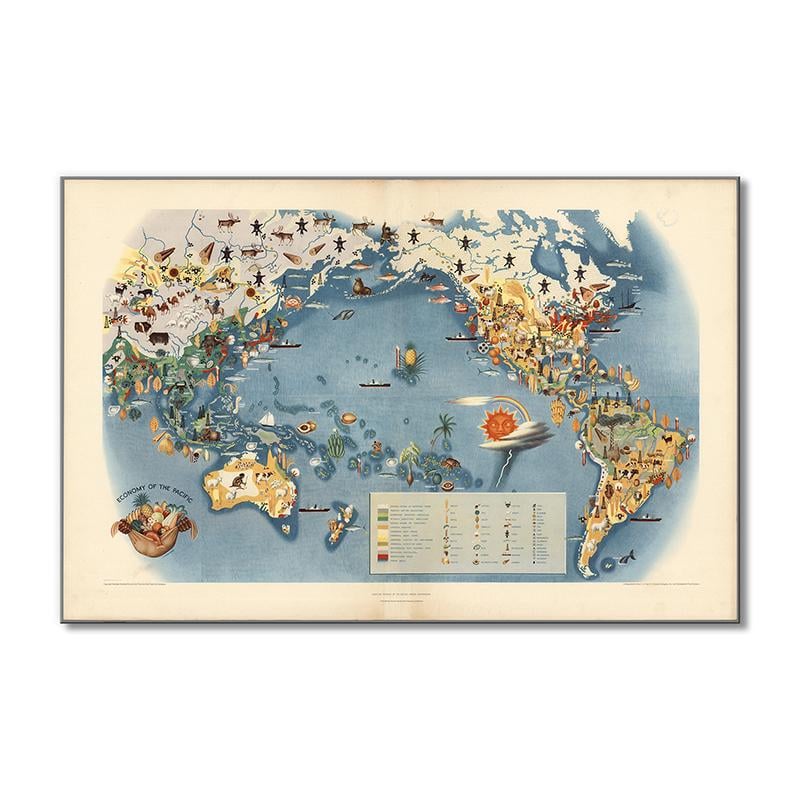 Винтажная карта Карта экономики Тихого океана 1 модуль 30х45 см