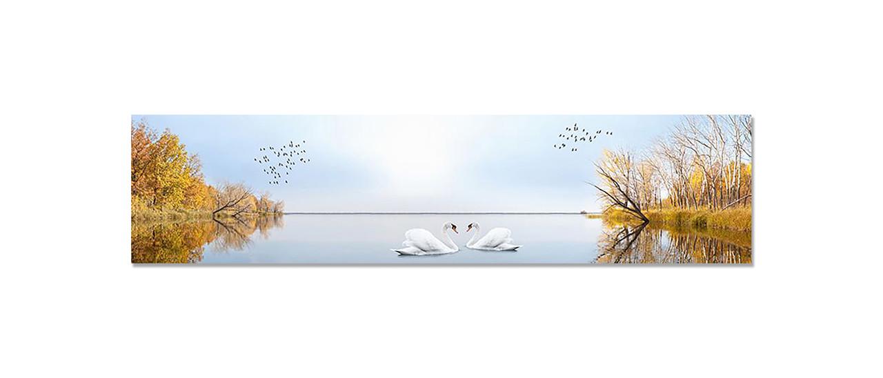 Наклейка виниловая 3D Zatarga Осень на Озере/Лебеди 600х2500 мм (1274515970)