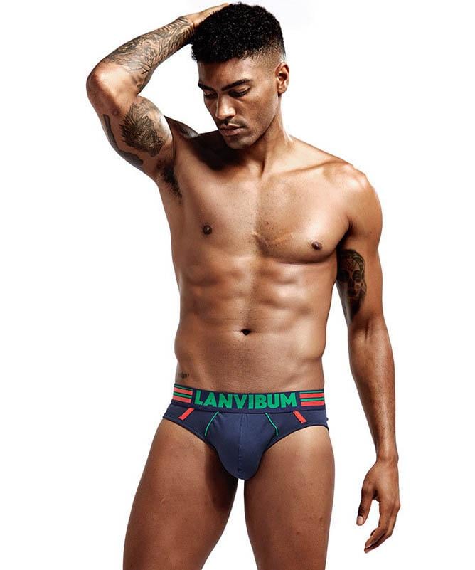 Трусы Lanvibum L Темно-синий (5530)