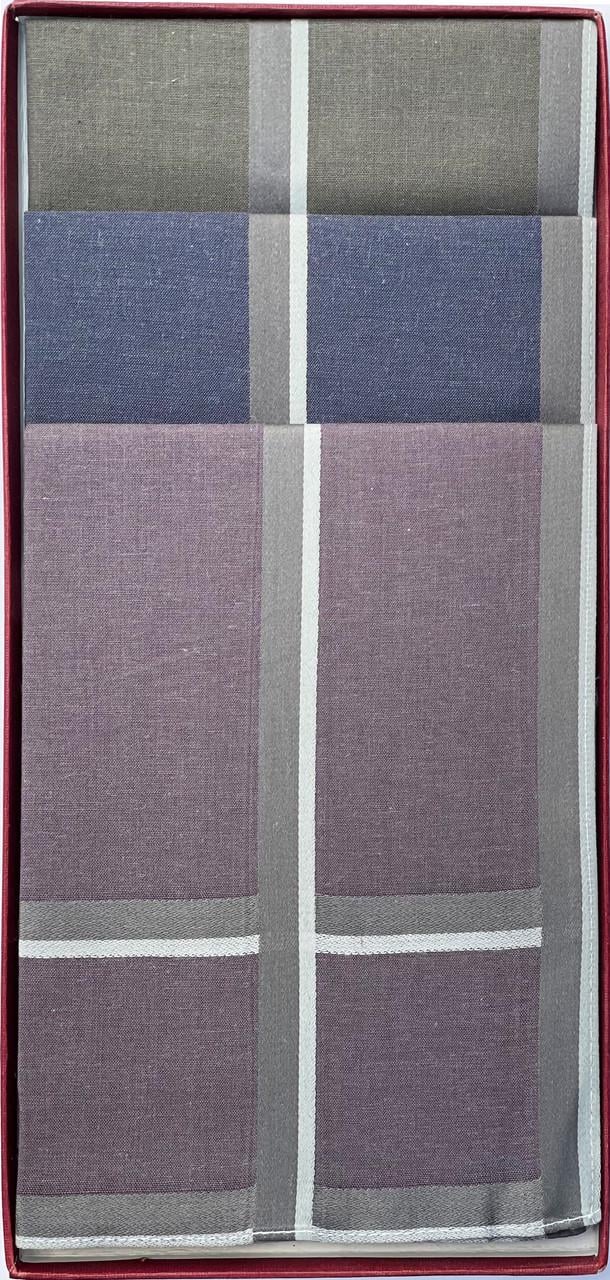 Носовые платки мужские хлопковые Guasch 104.96 D.11