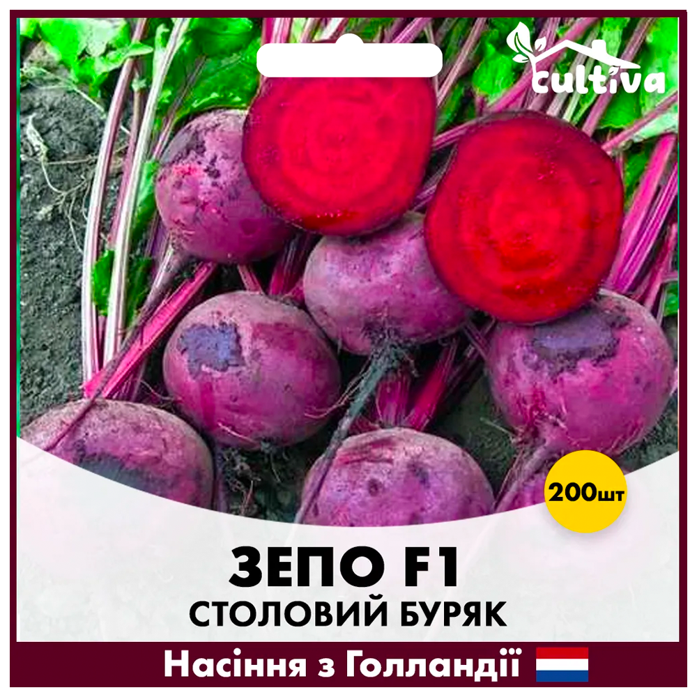 Семена свеклы Rijk Zwaan Зепо F1 200 шт. (B12)