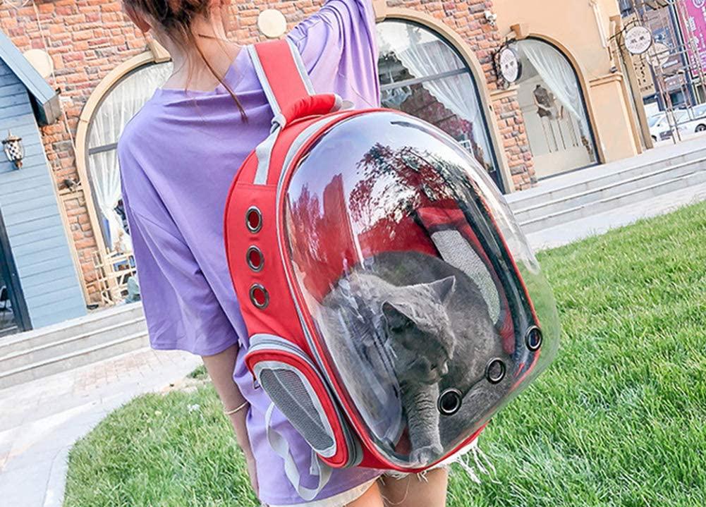 Рюкзак прозрачный Lollimeow для переноски домашних животных (DY-SN043) - фото 2