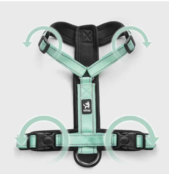 Поводок-шлея для собак на 2 кольца светоотражающая S Зеленый (1B0200) - фото 6 Поводок-шлея для собак на 2 кольца светоотражающая S Зеленый (1B0200) - фото 6