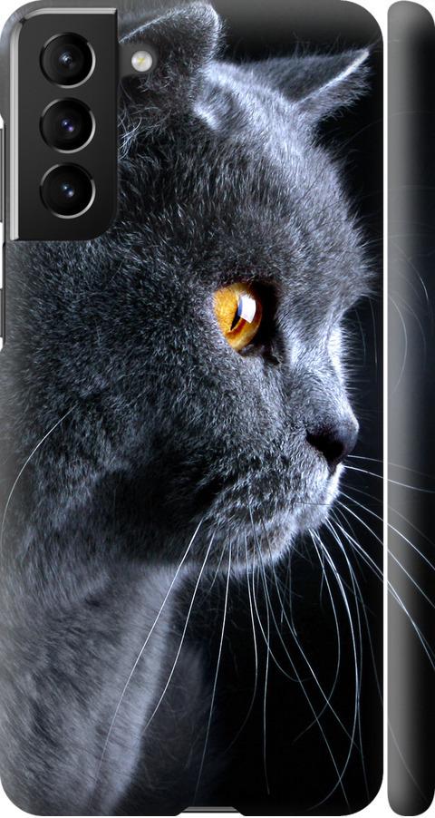 Чехол на Samsung Galaxy S21 Plus Красивый кот (3038m-2115-42517)