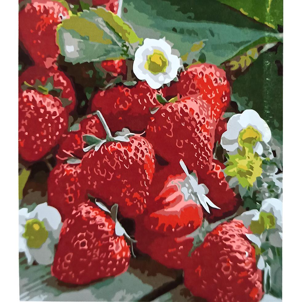 Картина за номерами Strateg Преміум Солодка полуничка 30x40 см (SS-6512) Картина за номерами Strateg Преміум Солодка полуничка 30x40 см (SS-6512)