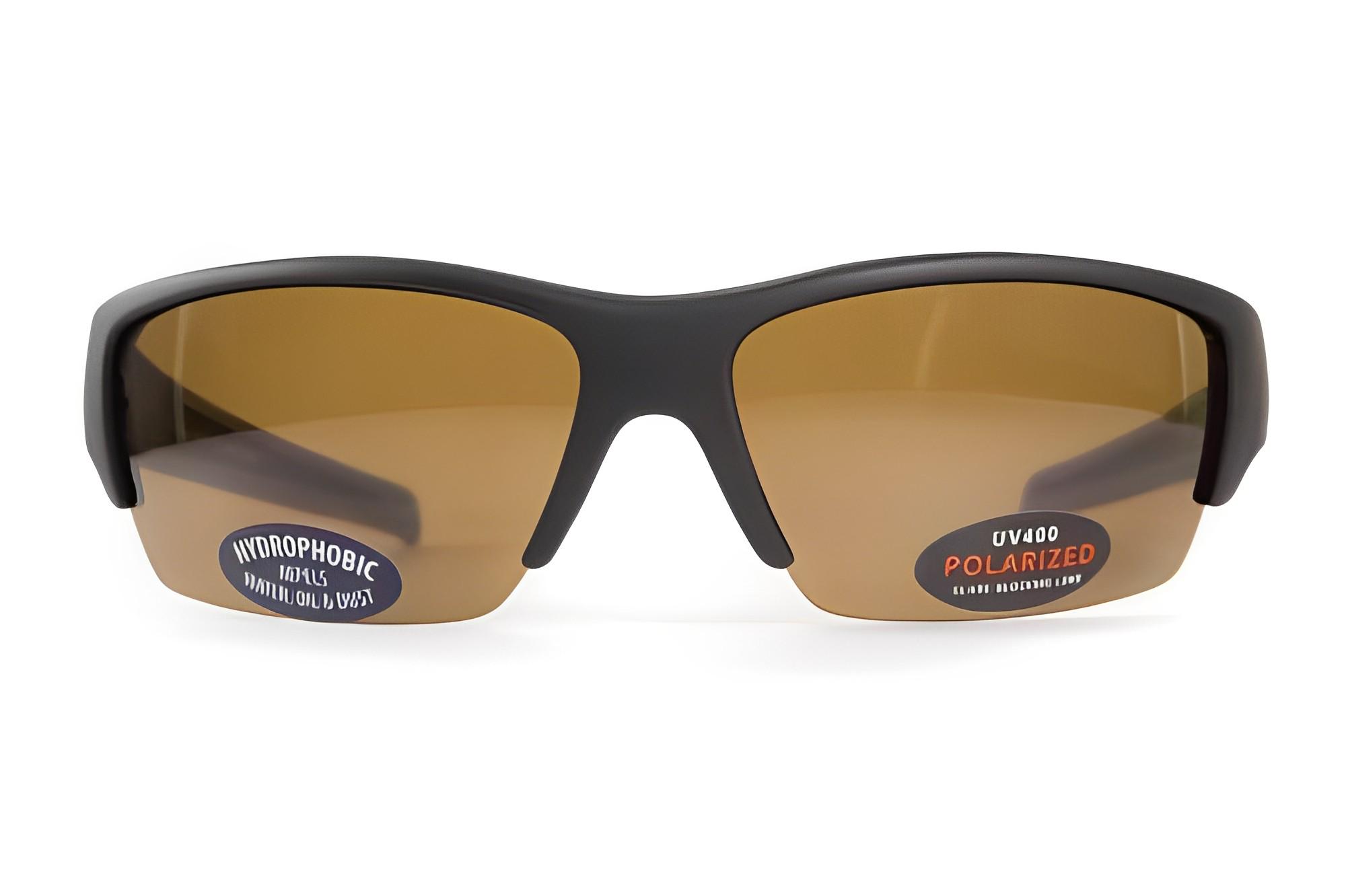 Окуляри BluWater Daytona-2 Polarized Коричневий (4ДЕЙТ2-50П)