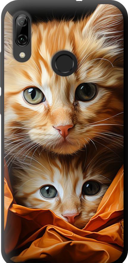 Чехол на Huawei P Smart 2019 Котики 2 (5664b-1634-42517) Чехол на Huawei P Smart 2019 Котики 2 (5664b-1634-42517)