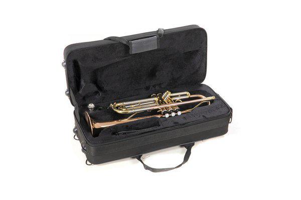 Труба Roy Benson TR-202G Bb-Trumpet латунь (G-RB701075) - фото 3