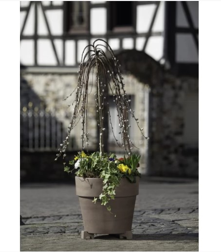 Горщики керамічні Spang Каліма 12х13 см 0,9 л 2 шт. Базальтовий (000006490) - фото 2 Горщики керамічні Spang Каліма 12х13 см 0,9 л 2 шт. Базальтовий (000006490) - фото 2