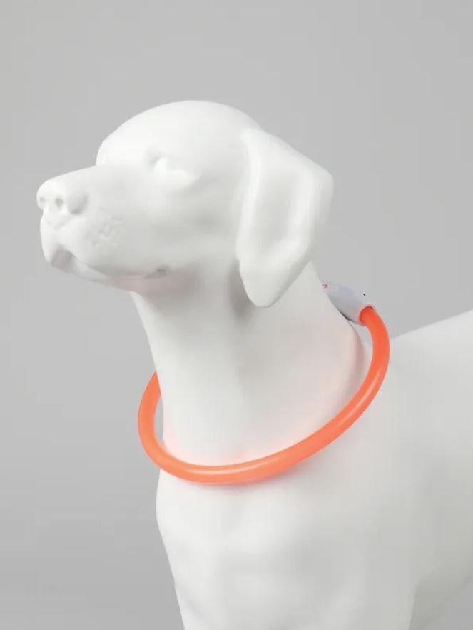 Ошейник для собак Trox TR-70 с LED-подсветкой Оранжевый (33705729)