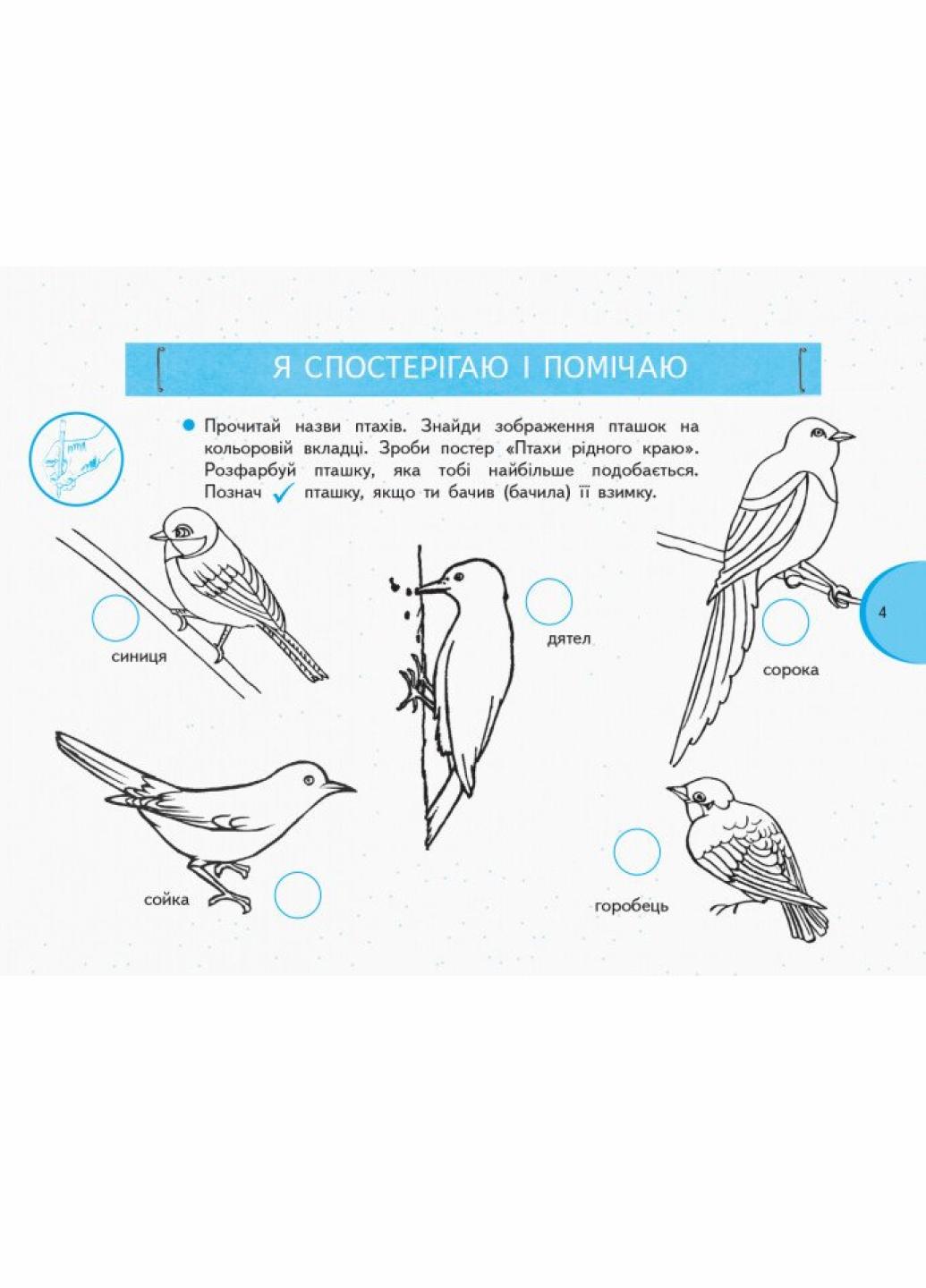 Тетрадь-альбом с творческими задачами. НУШ Я исследую мир. 1 класс. В 2 частях. Часть 2 Н530207У (9786170949806) - фото 5