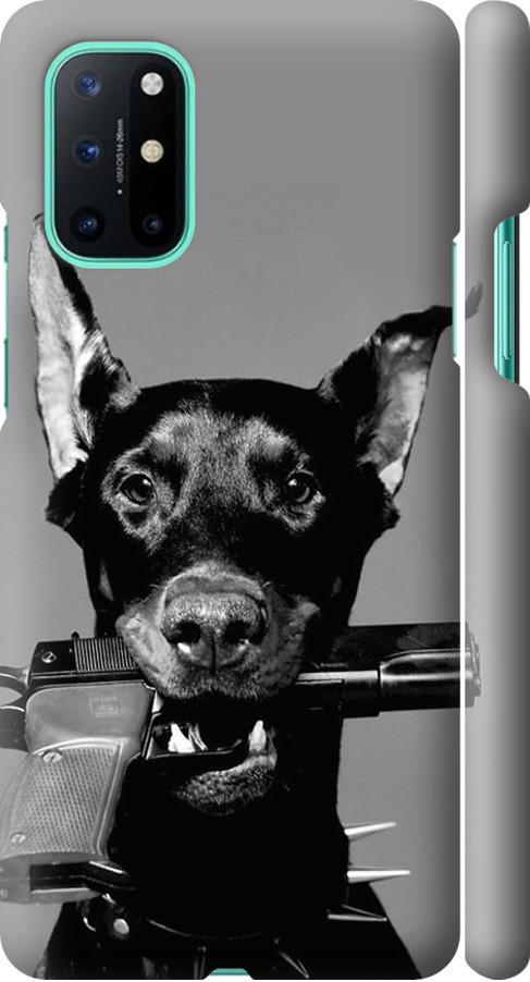 Чехол на OnePlus 8T Доберман (2745m-2113-42517) Чехол на OnePlus 8T Доберман (2745m-2113-42517)