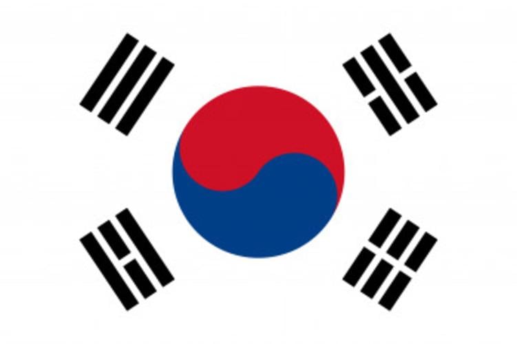 Флаг Южной Кореи 600х900 мм (25739692)