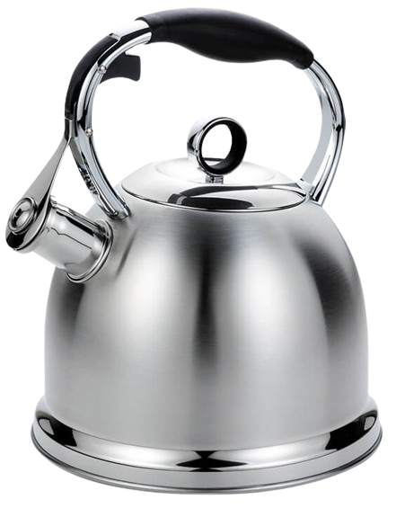 Чайник со свистком Maestro MR-1334 нержавеющая сталь 2,9 л (1389648738)