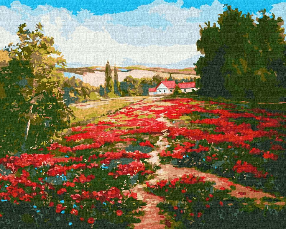 Картина по номерам Идейка Маковое поле 40x50 см (KHO2868)