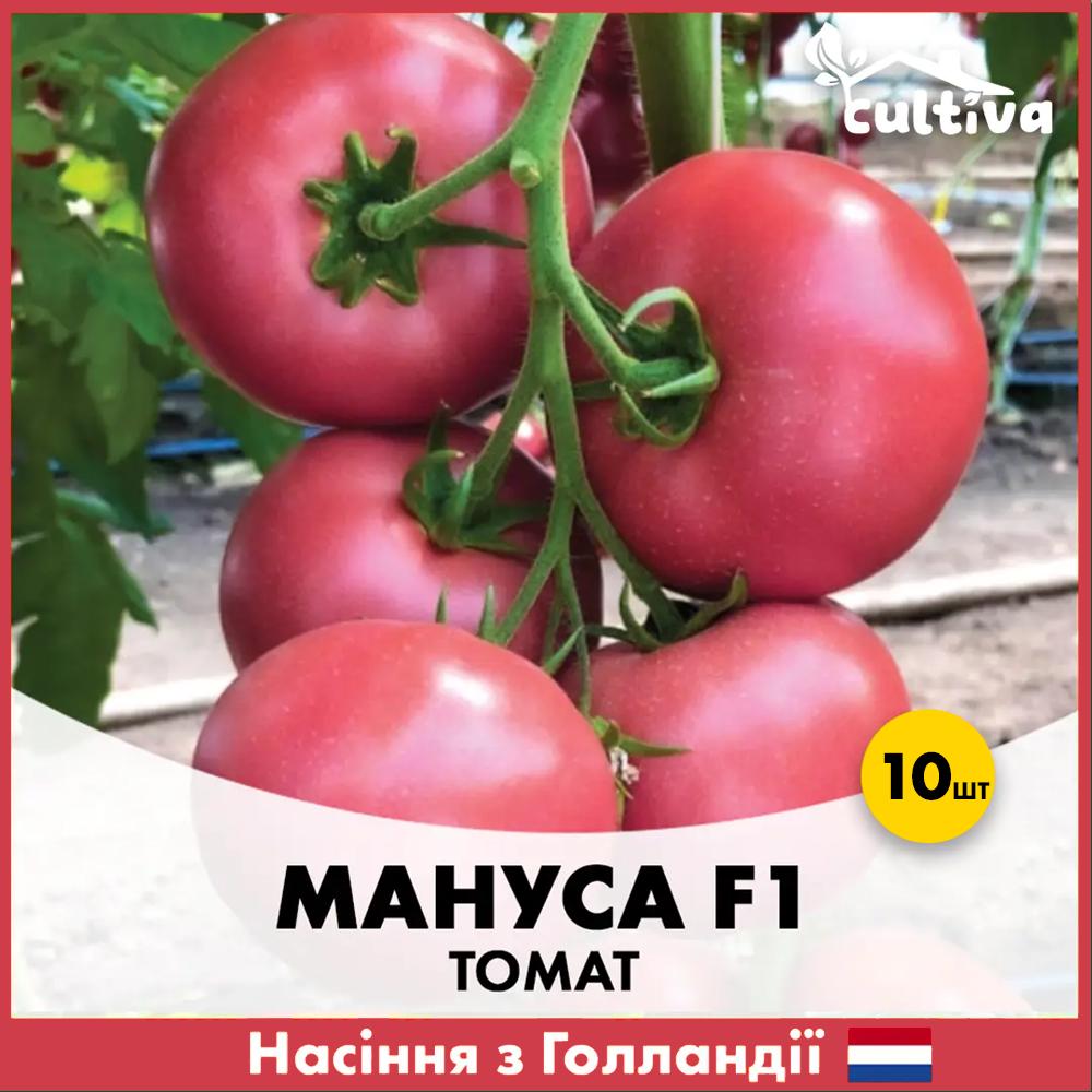 Насіння томату Rijk Zwaan Мануса F1 10 шт. (R5101010)