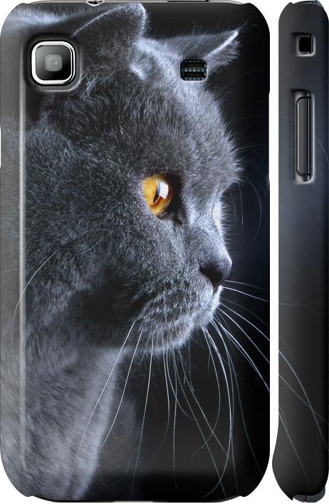 Чехол на Samsung Galaxy S i9000 Красивый кот (3038m-77-42517)