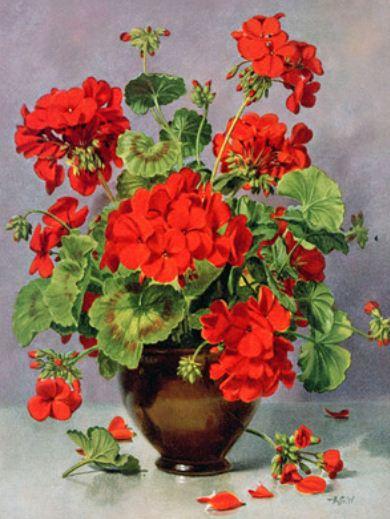 Картина по номерам Josef Otten Цветы Герань 40х50 см в термопакете (5472Y_O-mt) Картина по номерам Josef Otten Цветы Герань 40х50 см в термопакете (5472Y_O-mt)