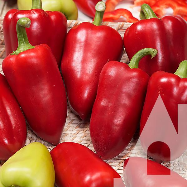 Перец сладкий Подарок Молдовы, 0,3 г, Садиба