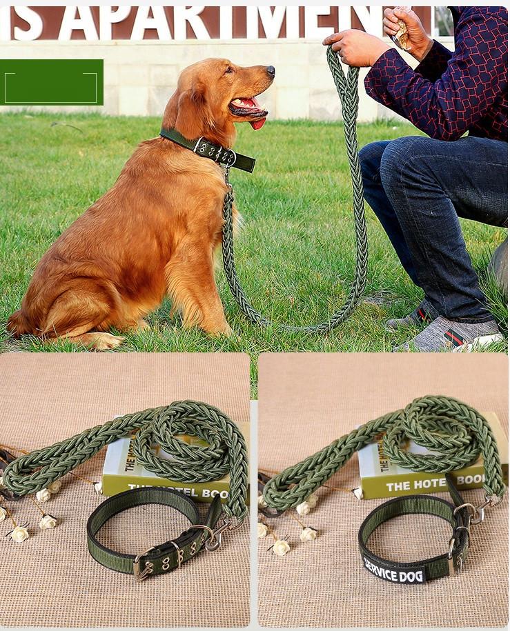 Повідець та нашийник для собак №1 32-44 см 130 см х 1,2 см Зелений (2296454405) - фото 3 Повідець та нашийник для собак №1 32-44 см 130 см х 1,2 см Зелений (2296454405) - фото 3