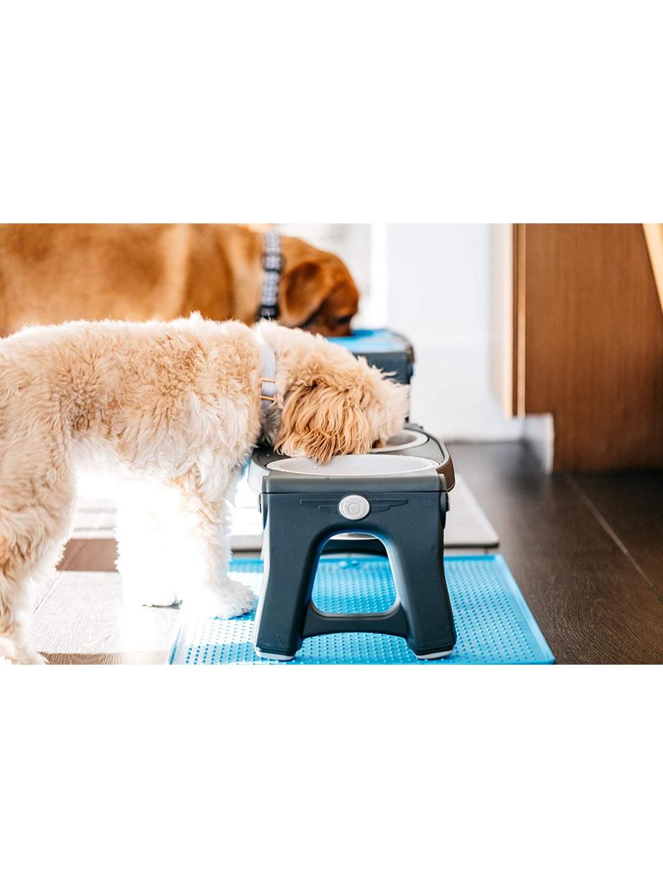 Миска двойная для животных Dexas Adjustable Pet Feeder с регулируемыми ножками 960 мл Серый (PW120432429) - фото 5