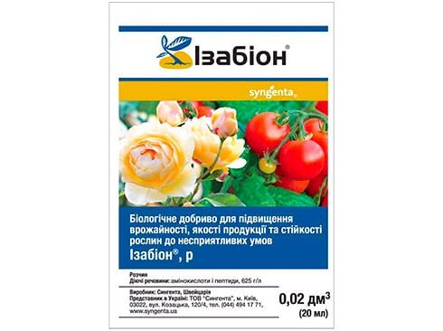Изабион (38280086)