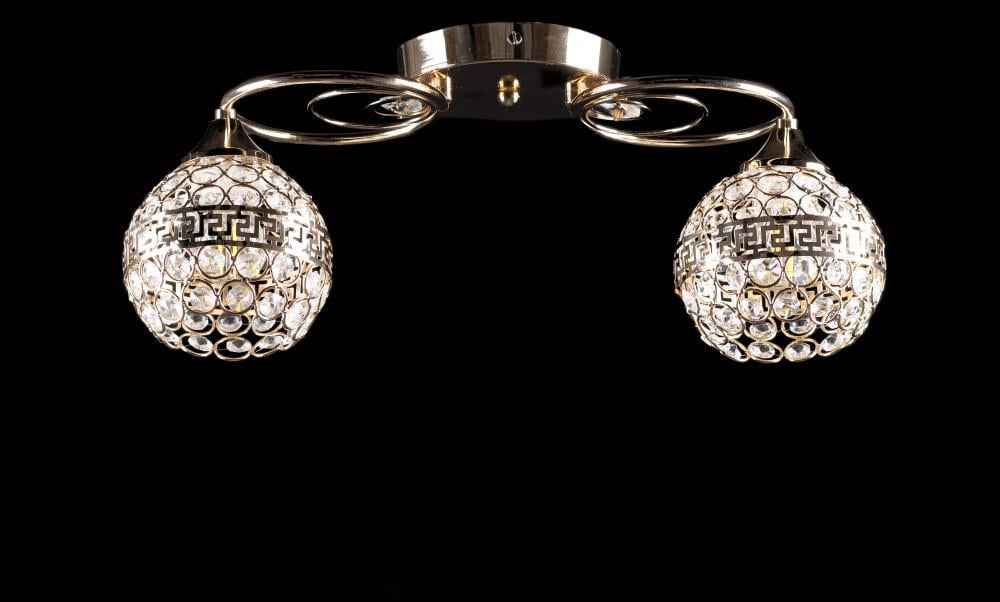 Люстра с плафонами Ray L2261/2 FGD (IR006027)