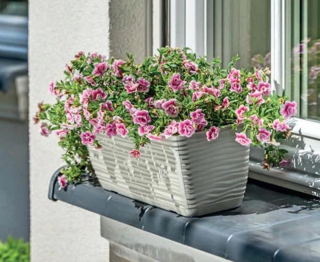 Горшок балконный Form-Plastic Sahara-40 5,7 л Серый (3180-055) - фото 2 Горшок балконный Form-Plastic Sahara-40 5,7 л Серый (3180-055) - фото 2