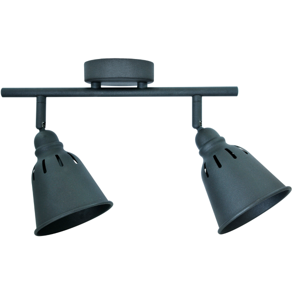 Світильник настінно-стельовий Polux Fiona-2 (311962)