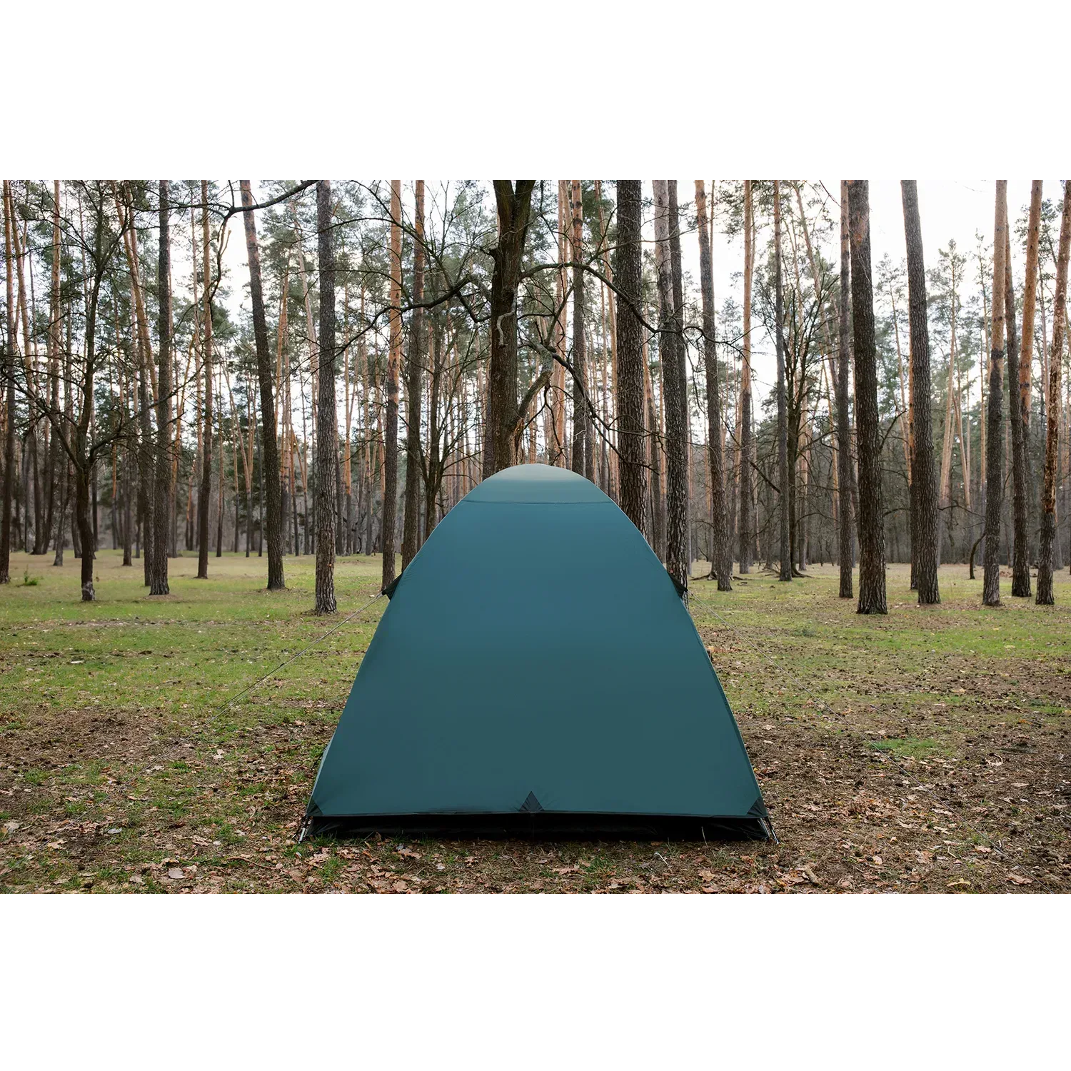 Палатка четырехместная летняя Totem Catawba 4 v2 (UTTT-024) - фото 9