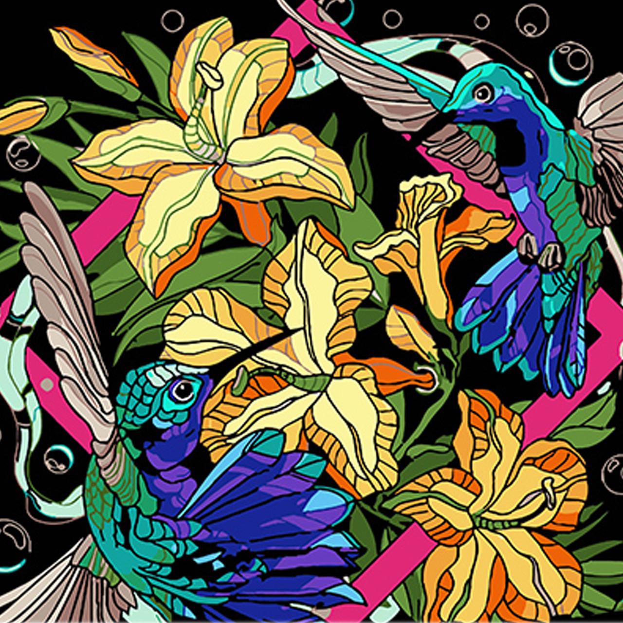 Картина по номерам Strateg Премиум Колибри в ярких тонах на черном фоне 40х40 см (AV4040-68)