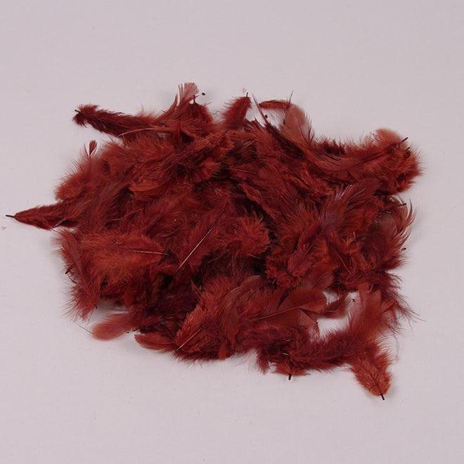 Перья декоративные Flora 12 г Коричневый (25475)