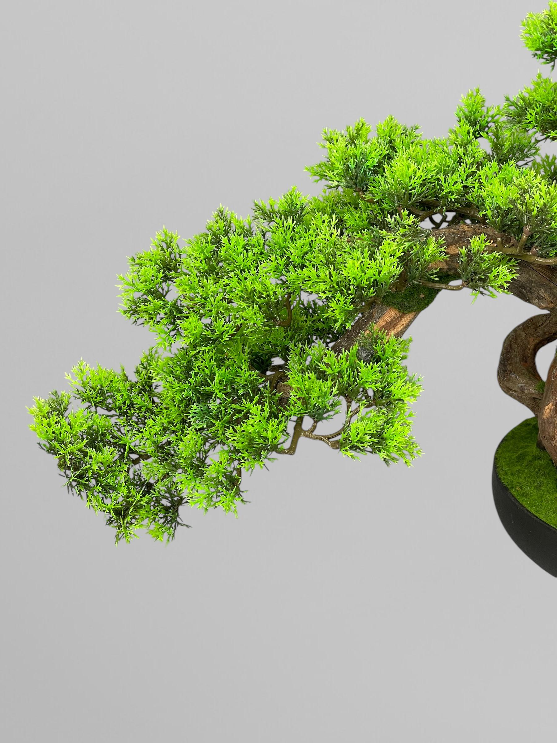 Бонсай 52 см Зеленый (Б007) - фото 4 Бонсай 52 см Зеленый (Б007) - фото 4