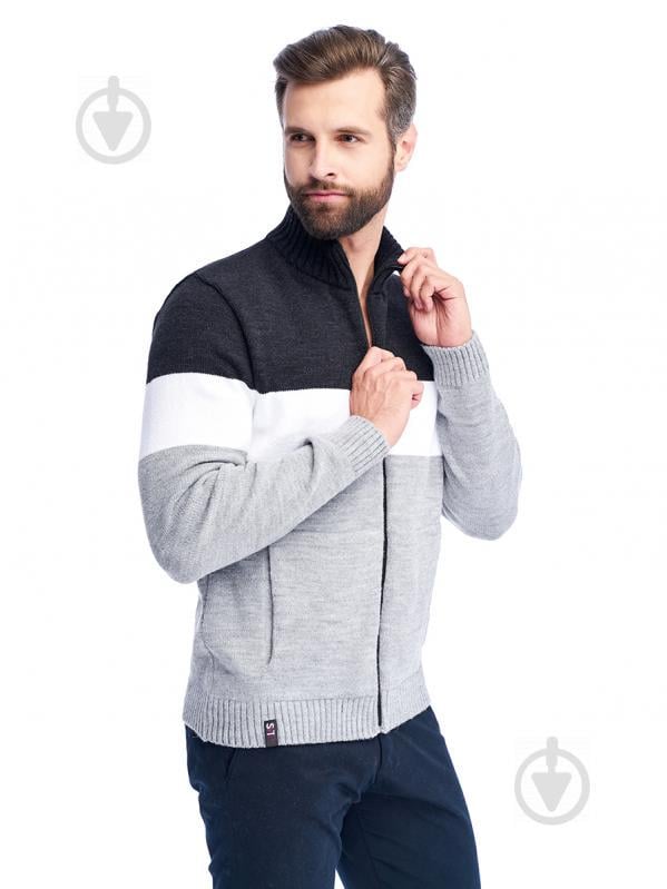 Чоловіча кофта на замку SVTR 50 Сірий (303)