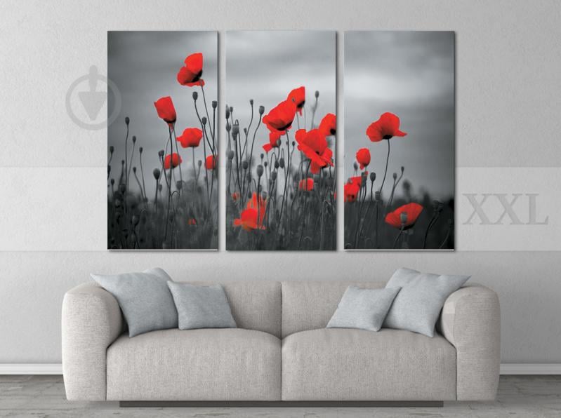 Модульна картина Poster-land Маки Art-215_XXL