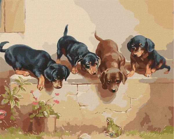 Картина по номерам Идейка Неожиданная встреча 40х50 см в термопакете (КНО4348-mt)